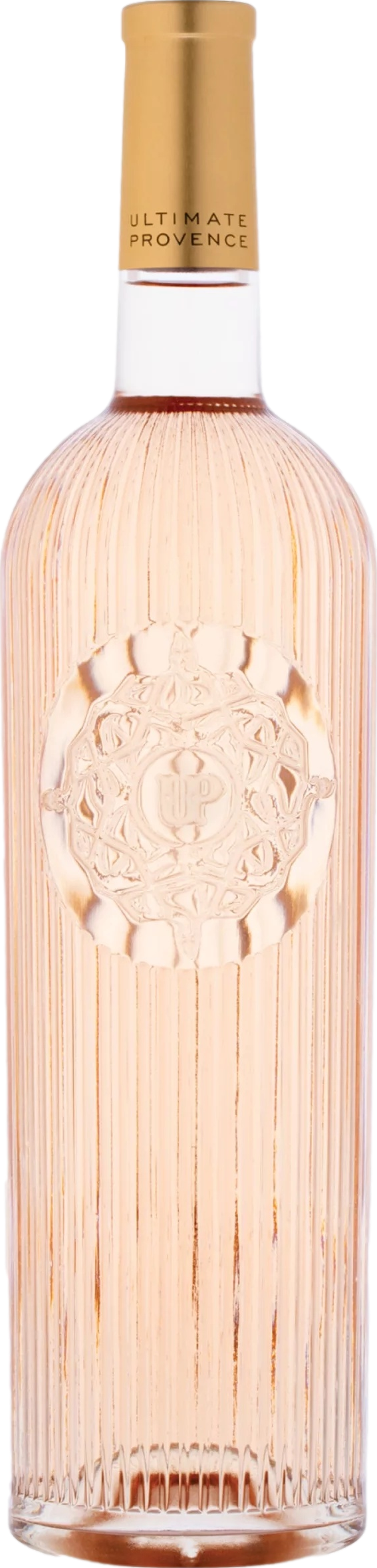photo Ultimate Provence Rose
