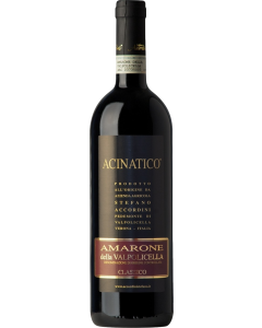 Stefano Accordini Acinatico Amarone della Valpolicella Classico 2020