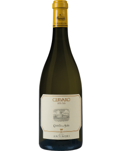Antinori Cervaro della Sala 2024