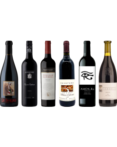 Barossa Valley Shiraz Premium Tasting Case