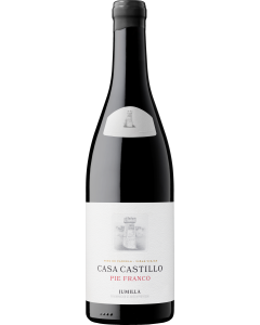 Casa Castillo Pie Franco 2022
