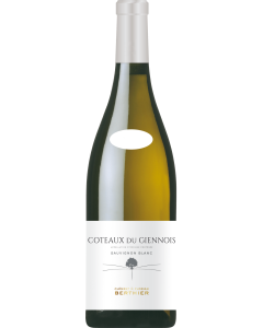 Clement & Florian Berthier Coteaux du Giennois Blanc 2024