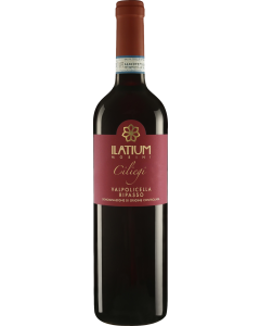Ilatium Morini Campo dei Ciliegi Valpolicella Ripasso Superiore 2020