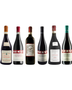 Piemonte Gattinara Premium Tasting Case