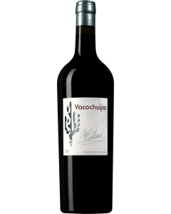 San Pedro de Yacochuya Yacochuya 2017