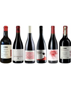Sicily Red Wine Premium Tasting Case