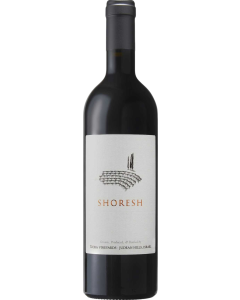 Tzora Shoresh 2024