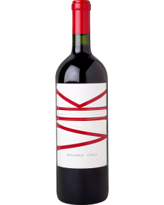 Vina Vik 2022