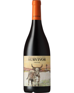 Survivor Pinotage 2023