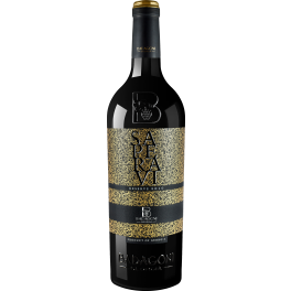 Badagoni Saperavi Reserve 2010