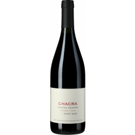 Bodega Chacra Cincuenta y Cinco Pinot Noir 2022