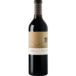 Bodegas Valderiz Tomas Esteban 2015