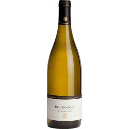 Domaine Alain Chavy Bourgogne Chardonnay 2023