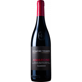 Domini Veneti Amarone della Valpolicella Classico 2021