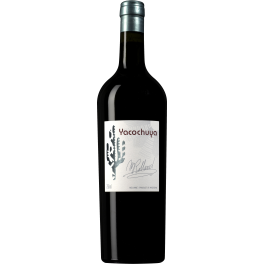San Pedro de Yacochuya Yacochuya 2017