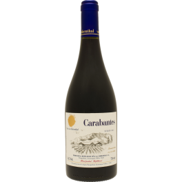 Vina von Siebenthal Carabantes Syrah 2022