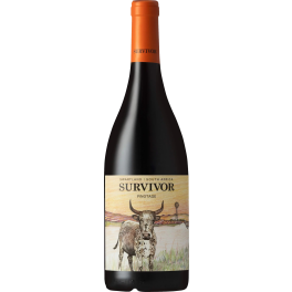 Survivor Pinotage 2021