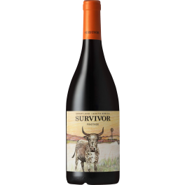 Survivor Pinotage 2022
