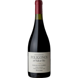 Zuccardi Poligonos Paraje Altamira Malbec 2022