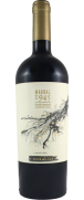 Clos de Luz Massal 1945 Carmenere 2020