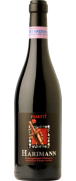 Pasetti Harimann Montepulciano d'Abruzzo 2012 (Out of Stock)