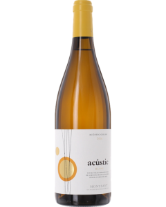 Acustic Celler Acustic Blanc 2016