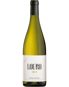 Rafael Palacios Louro 2021