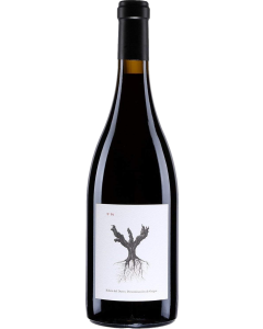 Dominio de Pingus Psi 2016