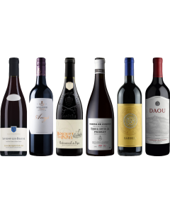 8Wines Staff Picks Red Wine Tasting Case