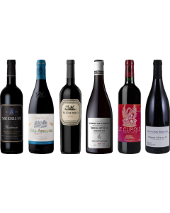 8Wines Staff Picks Red Wine Tasting Case