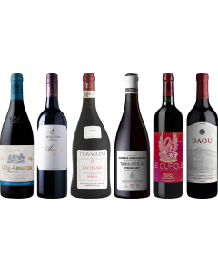 8Wines Staff Picks Red Wine Tasting Case