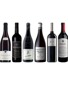 8Wines Staff Picks Red Wine Tasting Case