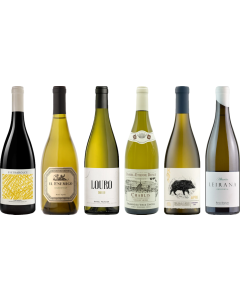 8Wines Staff Picks White Wine Tasting Case