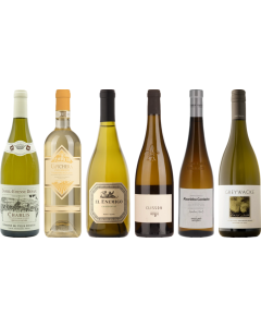 8Wines Staff Picks White Wine Tasting Case