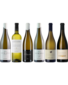 Albarino Premium Tasting Case