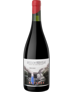 Altos Las Hormigas Meteora Malbec 2021