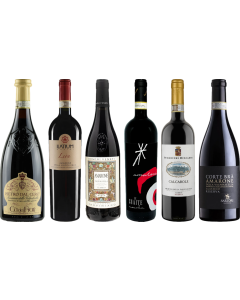 Amarone Premium Tasting Case