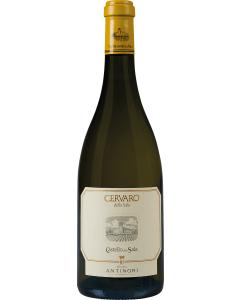 Antinori Cervaro della Sala 2024