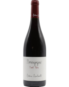 Antoine Lienhardt Bourgogne Rouge 2023