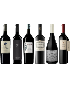 Argentinian Malbec Premium Tasting Case