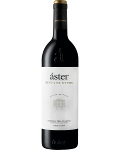 Aster Finca El Otero 2018