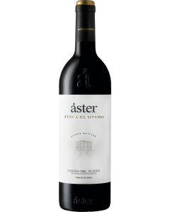 Aster Finca El Otero 2019