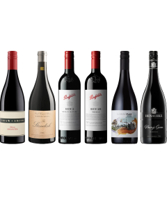 Australian Shiraz Premium Tasting Case