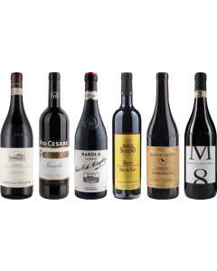 Barolo Premium Tasting Case