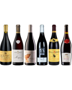 Beaujolais Premium Tasting Case