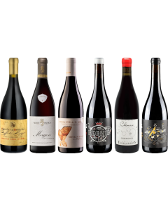 Beaujolais Premium Tasting Case