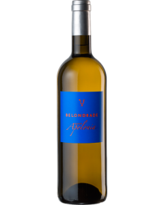 Belondrade Quinta Apolonia 2023