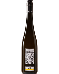 Bernhard Ott Am Berg Gruner Veltliner 2024