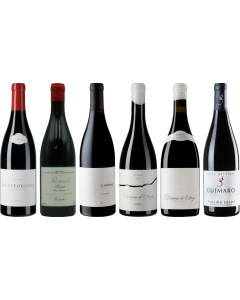 Bierzo and Galicia Mencia Premium Tasting Case