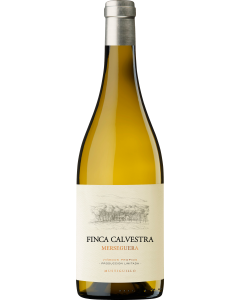 Mustiguillo Finca Calvestra 2019